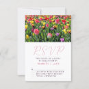 Recherche de rose de tulipe photographie Fleuriste
