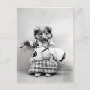 Zoek naar chien Mignon