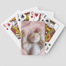 Recherche de de chaton jeux Chat domestique