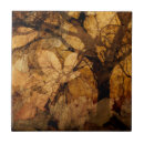 Recherche de texture feuille carreaux Arbre