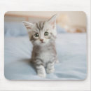 Recherche de chambre bébé tapis souris Chambre à coucher