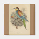 Recherche de ornithologie maison deco Ornithologue