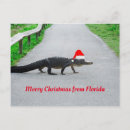 Recherche de noël floride cartes postales Drôle
