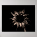 Recherche de ton de sépia art Fleur