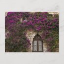 Recherche de rose gothique cartes postales Fleur