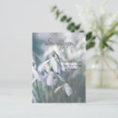 Recherche de snowdrops cartes postales Nature