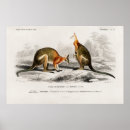 Recherche de australien art Vintage