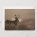 Recherche de silhouette animale invitations Sauvage