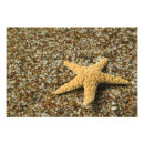 Recherche de verre de plage posters Océan