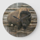 Recherche de bisons horloges Buffle
