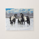 Zoek naar verf paarden puzzels Western