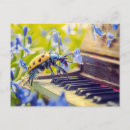 Recherche de jacinthe des bois cartes postales Nature
