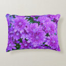 Recherche de mums coussins Violet
