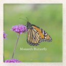 Recherche de papillon monarque dessous de verres Animal