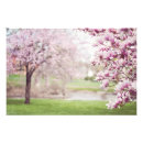 Zoek naar magnolia foto posters Floreel