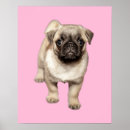 Recherche de couleur faite sur commande posters Mignon