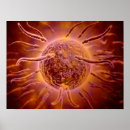 Recherche de biologie cellulaire posters 3d