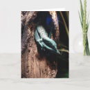 Zoek naar hagedissen briefkaarten Groen