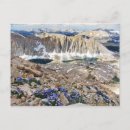 Recherche de mt cartes postales Fleurs