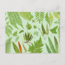 Recherche de botanique vintage cartes postales Feuille