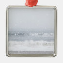 Recherche de froid ornements Environnement