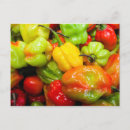 Recherche de bonneterie cartes postales Pour tous