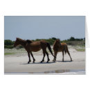 Recherche de île de poney Océan