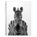 Zoek naar afrika fotografie Zebra