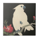 Zoek naar mooie vogel tegels Papegaai