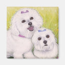 Recherche de frise bichon magnets Chiens