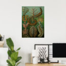 Recherche de illustration scientifique posters Biologie marine