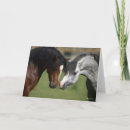 Zoek naar ponies kaarten Dier