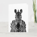 Zoek naar zebra fotografie Safari