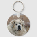 Recherche de pyrénées porteclés Animaux