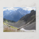 Recherche de alpes cartes postales Montagne