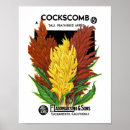 Recherche de comb posters Vintage