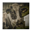 Recherche de cow carreaux Animal