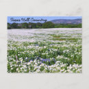 Recherche de carte texas cartes postales Fleurs sauvages
