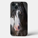 Zoek naar horse ipad hoesjes Paarden