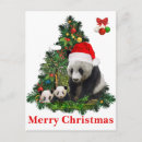 Recherche de amour panda cartes postales Animaux