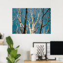 Recherche de bouleau posters Parc