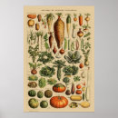 Recherche de page de livre art Vintage