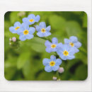 Recherche de myosotis tapis souris Ressort