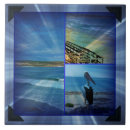 Zoek naar pelikanen tegels Beach