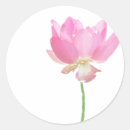 Recherche de lotus rose autocollants Zen