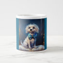 Recherche de chien papillon tasses Pour amateur de chiens