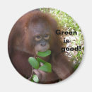 Recherche de légume vert magnets Végétarien