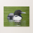Recherche de loon puzzles Huard