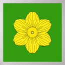 Zoek naar gele narcis posters Daffodil