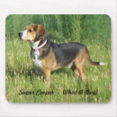 Recherche de chasseuse électronique Chiens